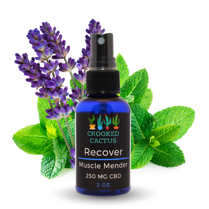 Recover Muscle Mender - Crooked Cactus CBD